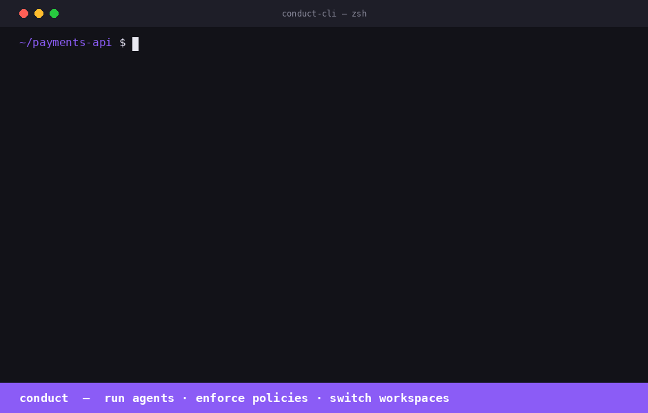 Conduct CLI demo: whoami, switch workspaces with Guard policy sync, and run an agent